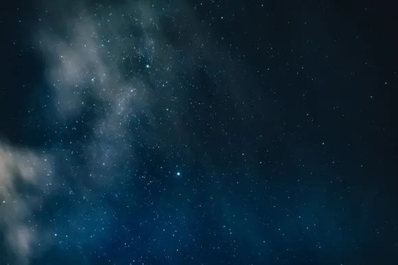 カジノ ウィキッド ジャックポッツ サポート